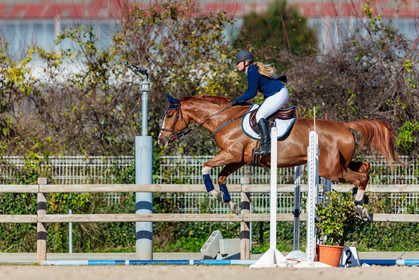 Equitation