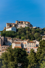 Oletta