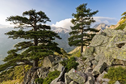 GR 20 Nord
