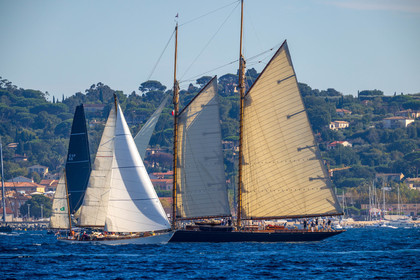 Les Voiles de Saint-Tropez