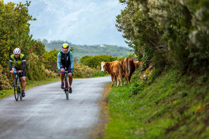 Col de Bigorno