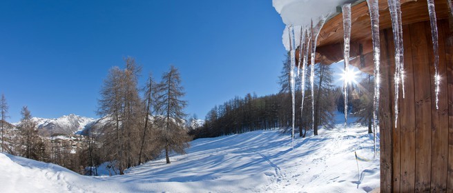 Auron