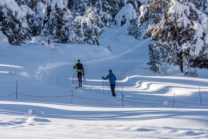 Ski de fond