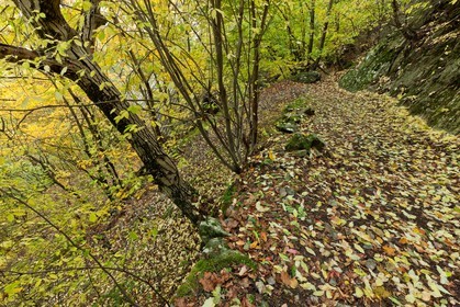 Sentier cascade de Louch