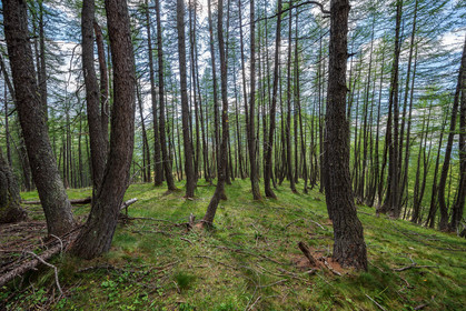 Plateau de Méouille