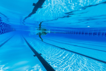 Natation