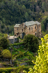 Morosaglia