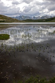 GR 20 Nord