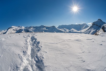 Auron