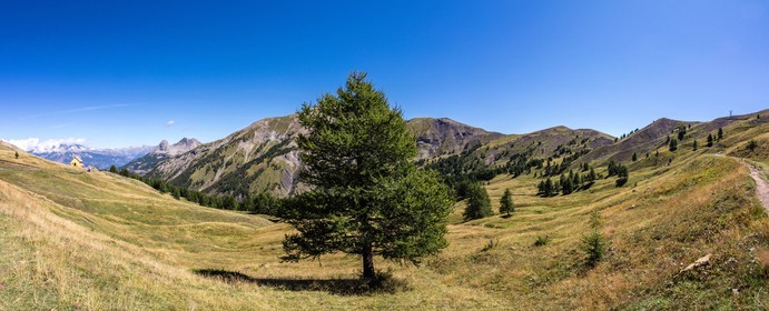 Col d'Allos
