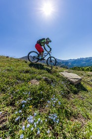 Vtt