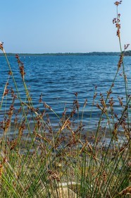 Etang d'Urbinu