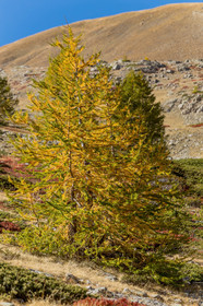 Col de la Moutière