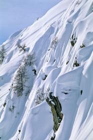 Snowboard