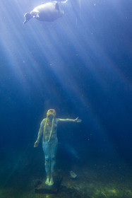 Seaquarium