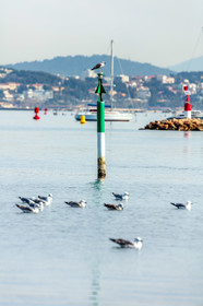 La Seyne-sur-Mer