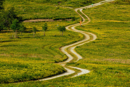 Col des Champs