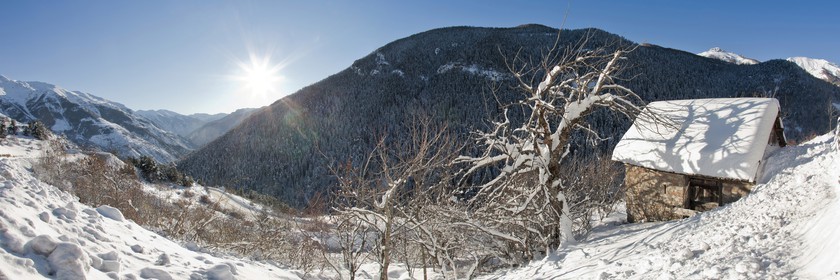 Auron