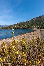 Galéria