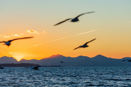Cap d'Antibes