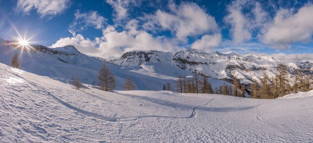 Auron