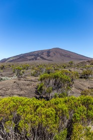 Ile de La Réunion