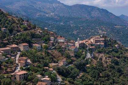Belgodère