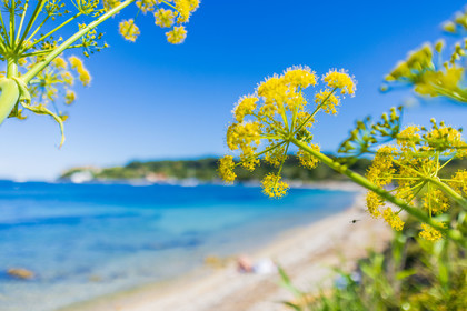 Lérins Sainte-Marguerite 2024