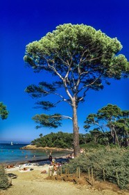 Porquerolles