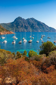 Girolata
