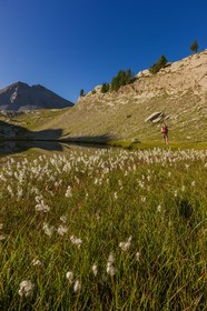 Lacs de l'Encombrette