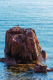 Cannes