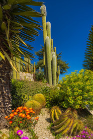 Eze Jardin exotique
