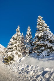La Foux d'Allos