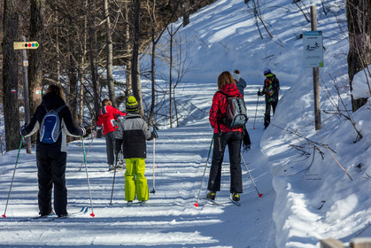 Ski-de-fond