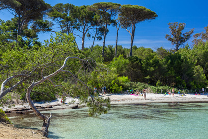 Porquerolles