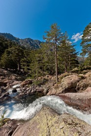 Monte Cinto
