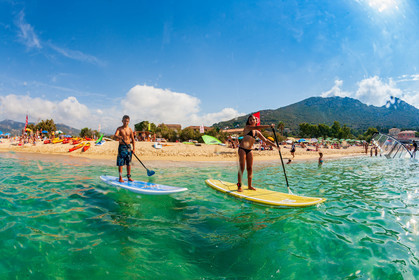 Paddle