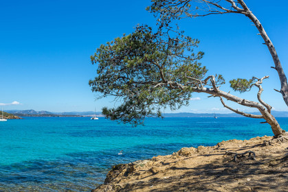 Porquerolles