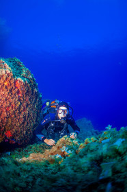 Plongée-sous-marine