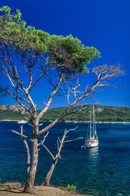 Porquerolles