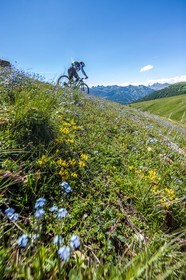 Vtt
