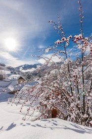 La Foux d'Allos village