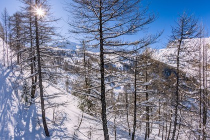 Auron