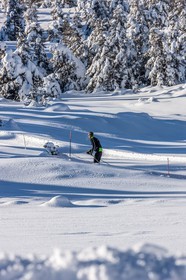Ski de fond