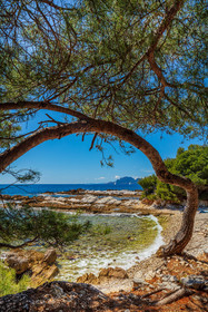 Lérins, Sainte-Marguerite