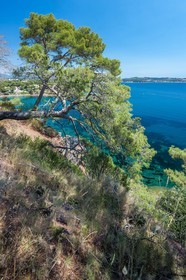 .La Seyne-sur-Mer
