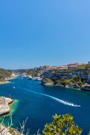 Bonifacio