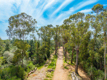 Lérins Sainte-Marguerite