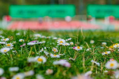 Parc des Bouillides